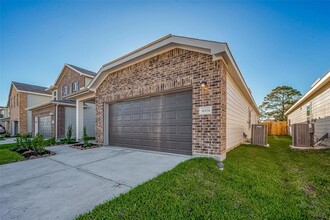 10151 Tiger Flower Ln in Houston, TX - Building Photo - Building Photo