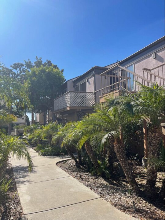 4128 Mt Alifan Dr in San Diego, CA - Building Photo