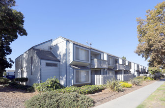 Pinewood Terrace Apartments in San Jose, CA - Building Photo - Primary Photo