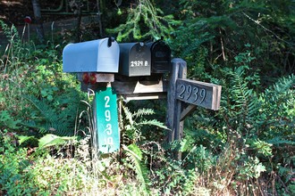 2939 Bohemian Hwy in Occidental, CA - Building Photo - Building Photo