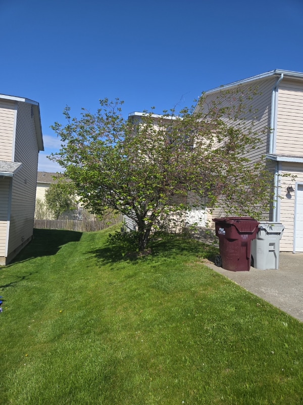 property at 537 Karcio Ct