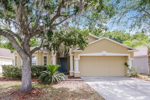 29611 Birds Eye Dr in Zephyrhills, FL - Building Photo