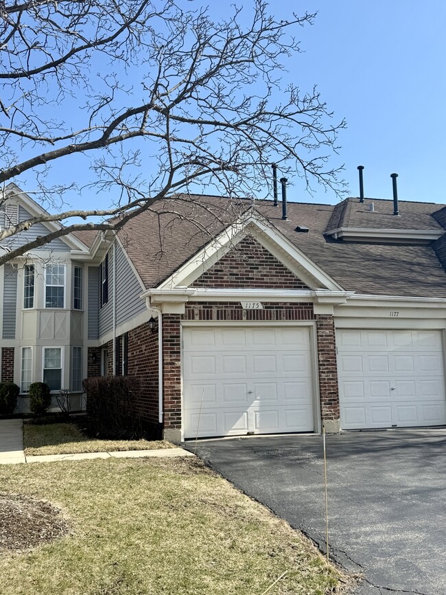 1177 Russellwood Ct in Buffalo Grove, IL - Building Photo - Building Photo