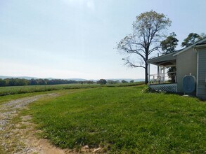 398 Shady Grove Ln in Berryville, VA - Building Photo - Building Photo