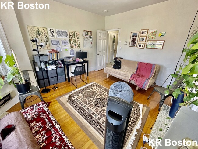 243 Harvard Ave in Boston, MA - Building Photo - Building Photo