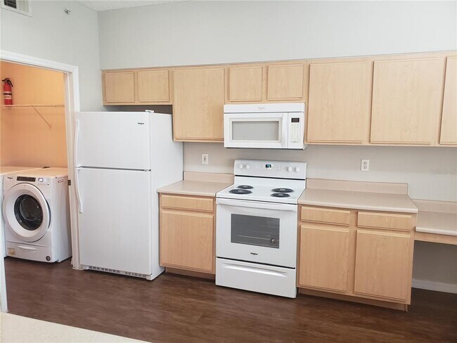 10873 Windsor Walk Dr in Orlando, FL - Building Photo - Building Photo