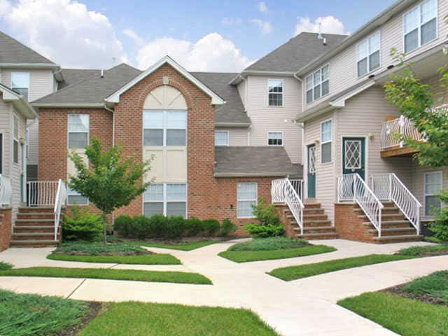 Renaissance Properties