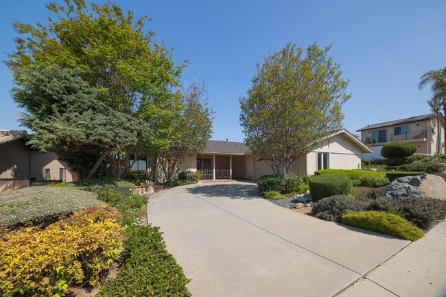 6164 Del Paso Ave in San Diego, CA - Building Photo - Building Photo