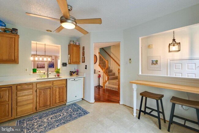 2303 Massanutten Dr in Silver Spring, MD - Building Photo - Building Photo