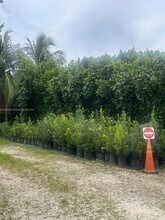 28000 SW 157th Ave in Homestead, FL - Building Photo - Building Photo
