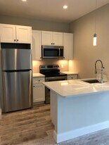 1449 Tremont St, Unit 310 in Boston, MA - Building Photo