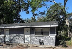 10022 N Lantana Ave in Tampa, FL - Building Photo