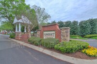 1145 Somerset Springs Dr - 38
