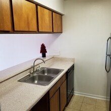 3015 Walnut Bend Ln in Houston, TX - Building Photo - Building Photo