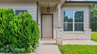 18140 Mail Rte Rd in Montgomery, TX - Building Photo