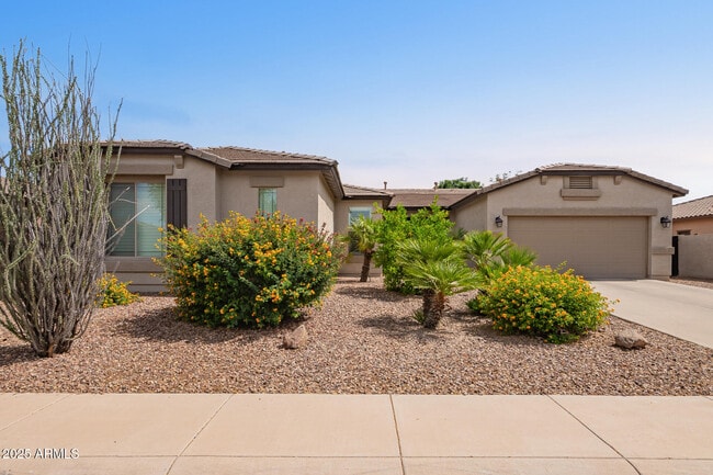 3437 E Blue Ridge Pl in Chandler, AZ - Building Photo - Building Photo
