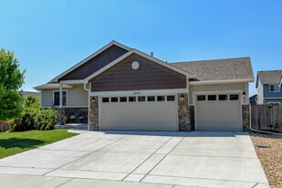 1295 Wild Basin Rd in Severance, CO - Building Photo