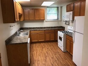 304 N Hamilton St in Madison, WI - Building Photo - Building Photo