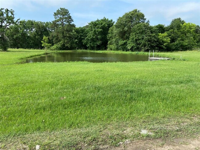 26237 Forest Hills Ln in Waller, TX - Building Photo - Building Photo