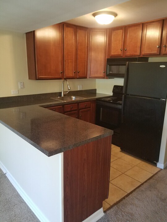 5854 Forest View Rd, Unit C in Lisle, IL - Building Photo