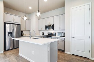 195 Silver Rock Trl in Castle Rock, CO - Building Photo - Building Photo