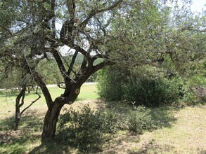 10620 Deer Canyon Rd in Jonestown, TX - Building Photo - Building Photo
