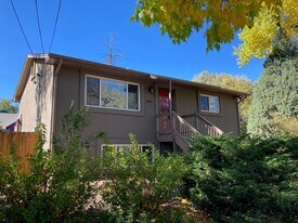 1002 N Walnut St in Colorado Springs, CO - Building Photo