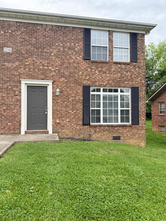 property at 236 Wayne Dr
