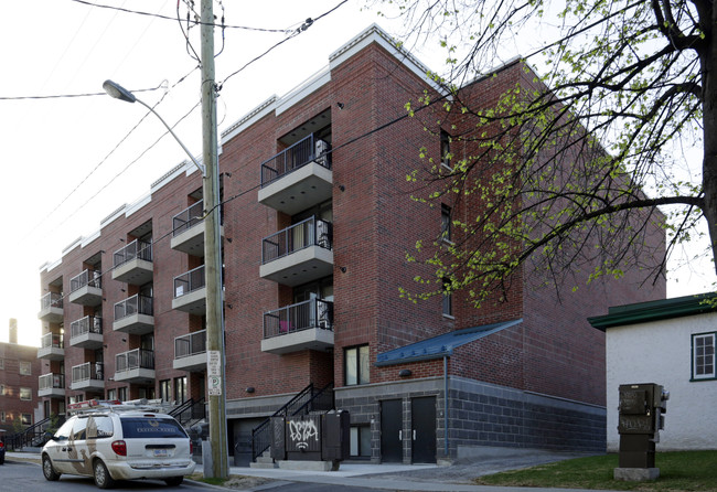 Daly Square Condominiums in Ottawa, ON - Building Photo - Building Photo