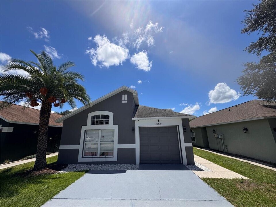 30619 Double Dr in Wesley Chapel, FL - Building Photo