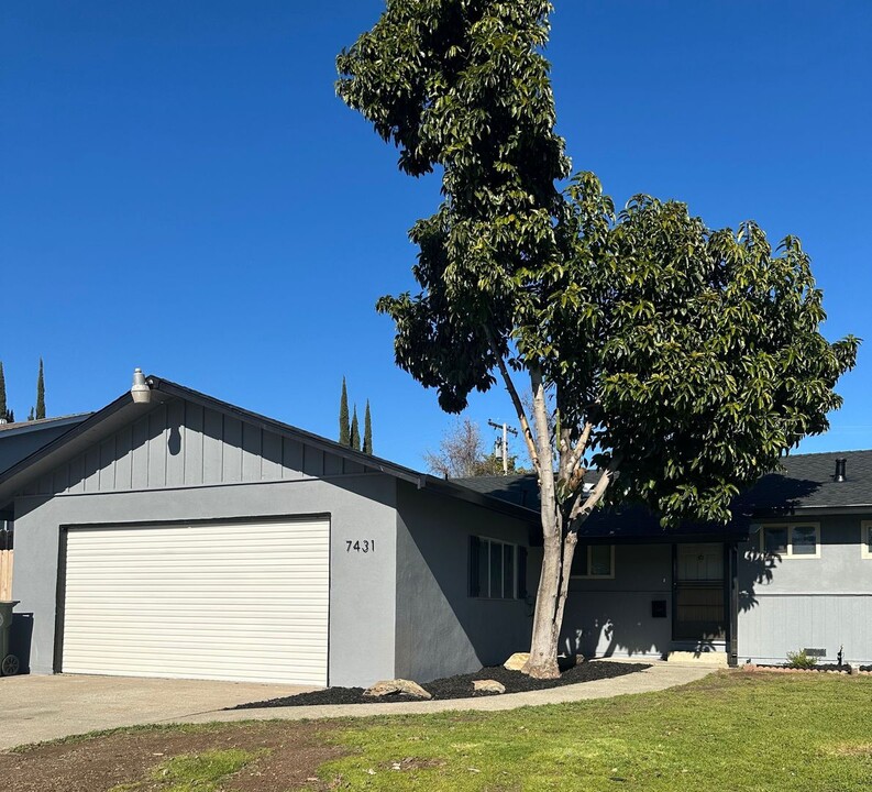 7431 Kanai Ave in Citrus Heights, CA - Building Photo