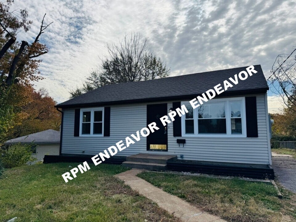 8702 Link Ave in St. Louis, MO - Building Photo