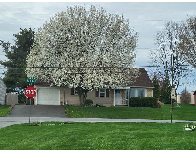 property at 821 Walnut St