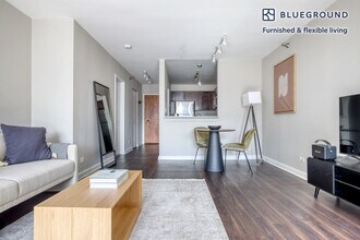 420 E Ohio St in Chicago, IL - Building Photo - Building Photo