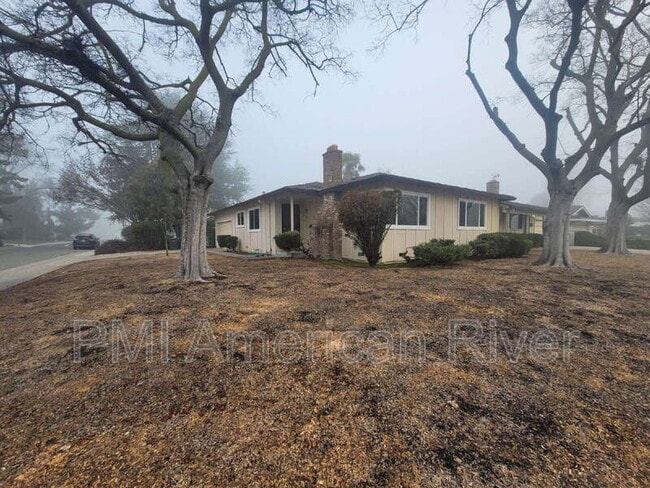 602 Lelandhaven Way in Sacramento, CA - Building Photo - Building Photo