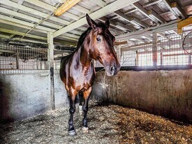 1350 C Rd in Loxahatchee Groves, FL - Building Photo