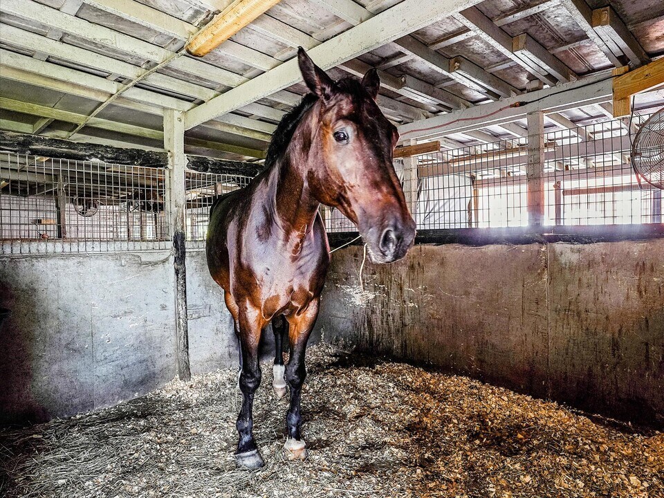 1350 C Rd in Loxahatchee Groves, FL - Building Photo