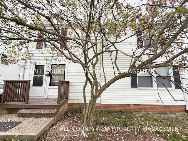 1565 E 256th St in Euclid, OH - Building Photo
