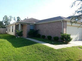 22851 Twisting Pine Dr in Spring, TX - Building Photo