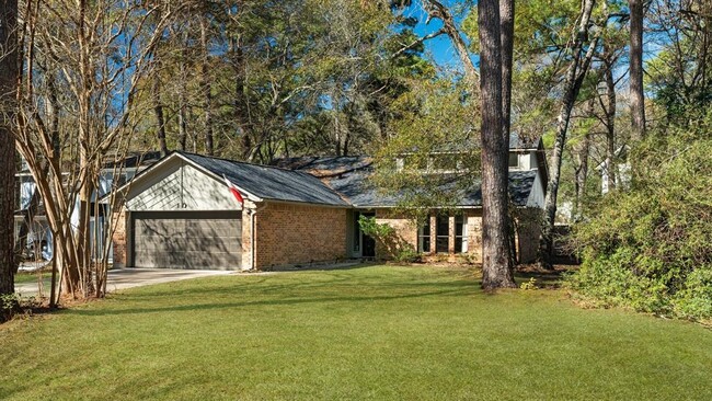 10 Morning Forest Ct in Spring, TX - Building Photo - Building Photo