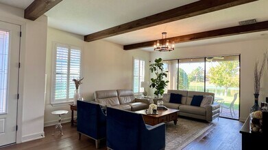 11697 Callisia Dr in Odessa, FL - Foto de edificio - Building Photo