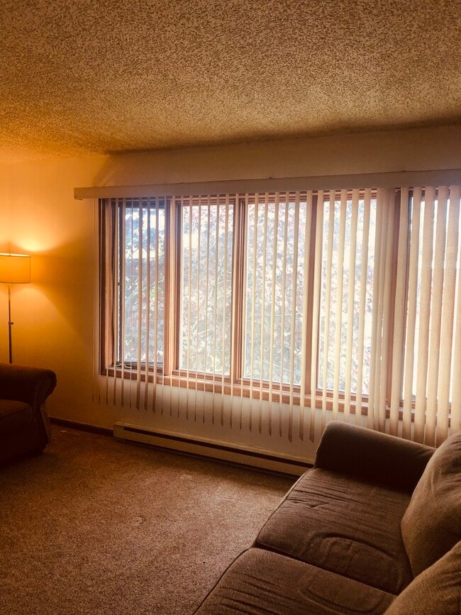60 Bertha St, Unit C in Albany, NY - Building Photo - Building Photo