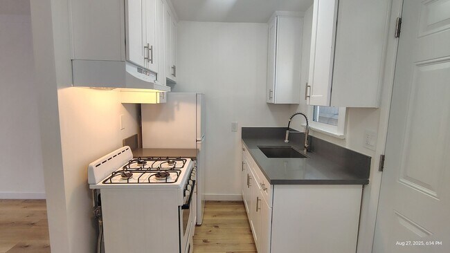 1565 S Hobart Blvd in Los Angeles, CA - Building Photo - Building Photo