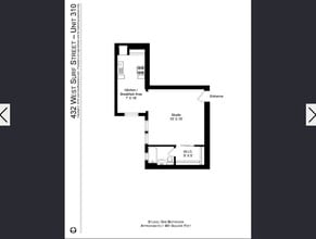 432 W Surf St, Unit 3 in Chicago, IL - Building Photo - Building Photo