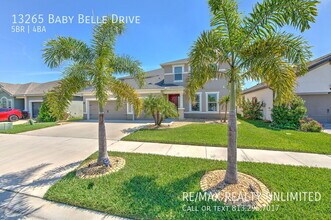 13265 Baby Belle Dr in Riverview, FL - Building Photo - Building Photo
