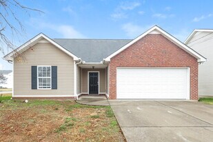1001 Tammy Sue Ln in La Vergne, TN - Building Photo