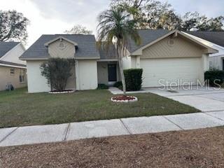 2023 Green Juniper Ln in Brandon, FL - Building Photo