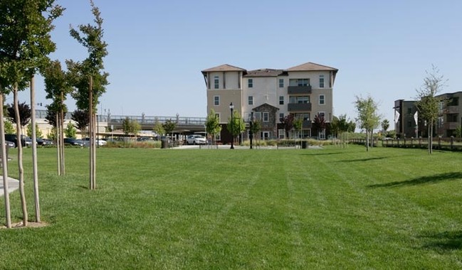 Central Park Terrace in Fremont, CA - Building Photo - Building Photo