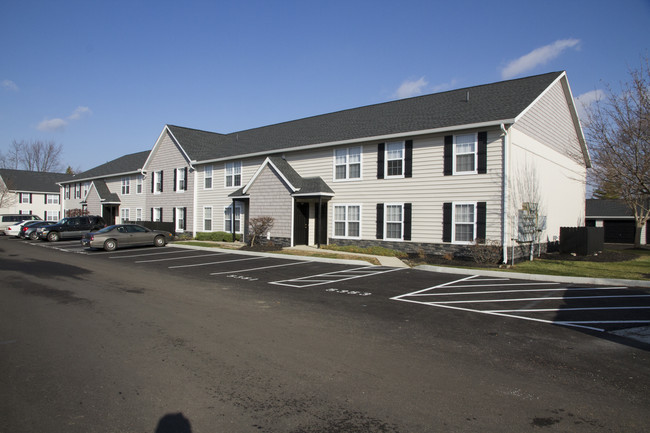 Saddlebrook Condominium