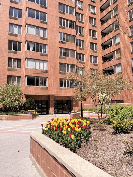 801 S Plymouth Ct in Chicago, IL - Building Photo